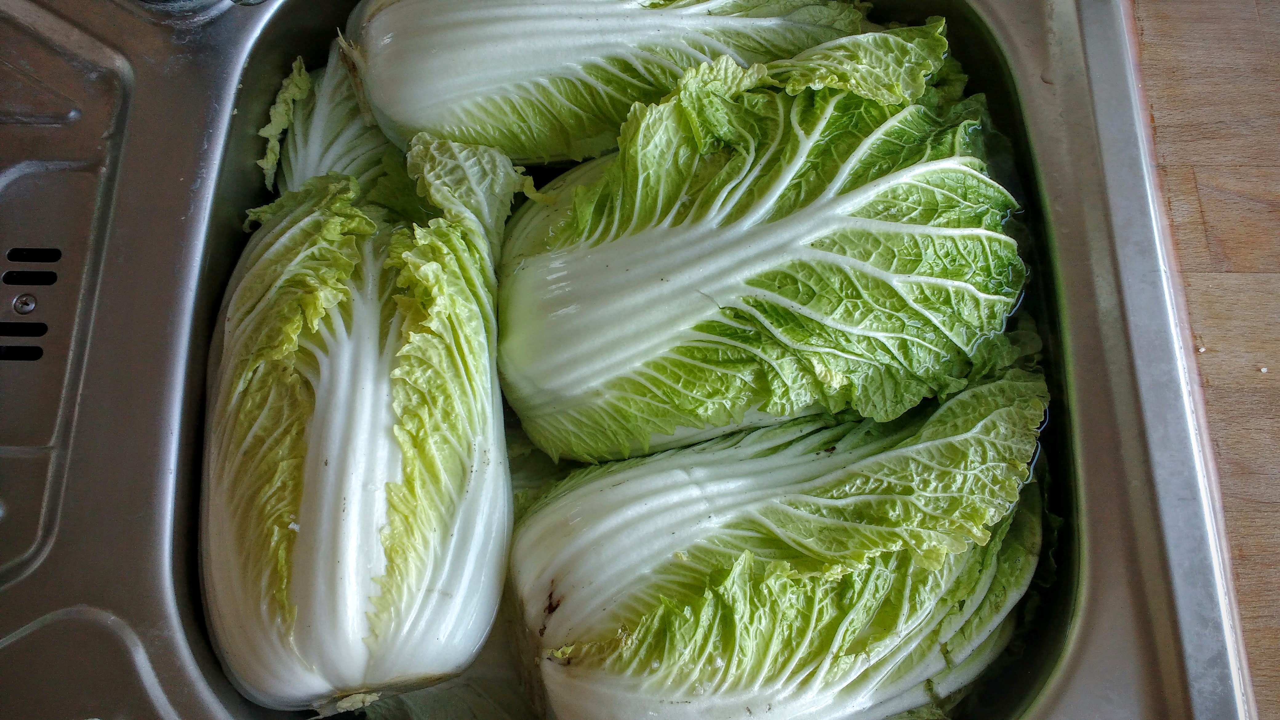 Cabbage Spa